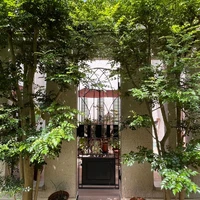 画像281