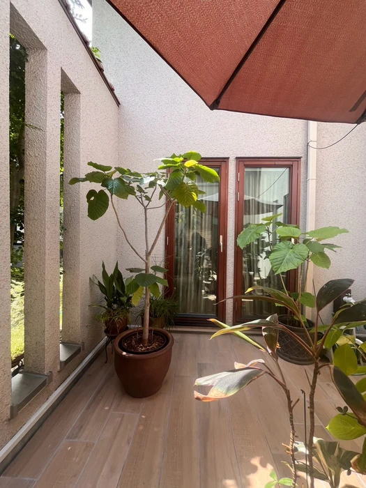 画像283